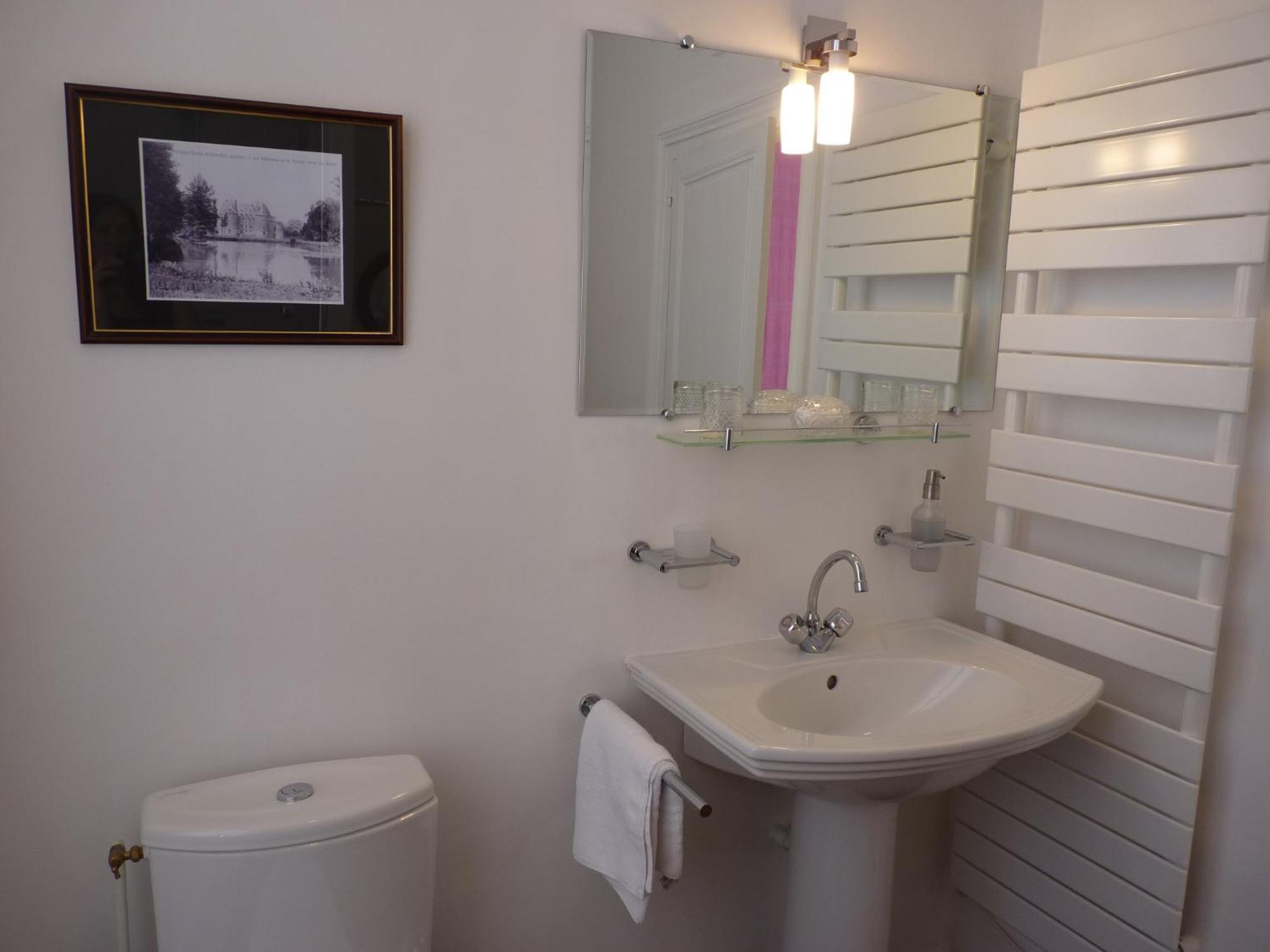 Le Clos Saint Nicolas Château-Renard Habitación foto